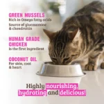 RAWZ_WebsiteCarousel_Cat_ShreddedPouches_Chick,Pump&Mussels_LIFESTYLE