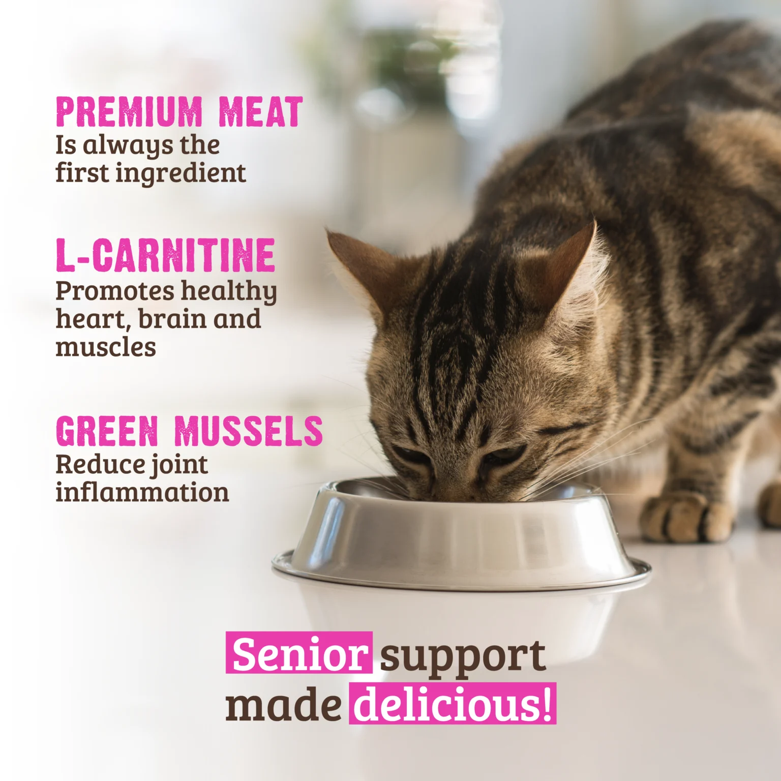 RAWZ_WebsiteCarousel_Cat_Senior_Turkey,Pumpkin&Mussels_LIFESTYLE