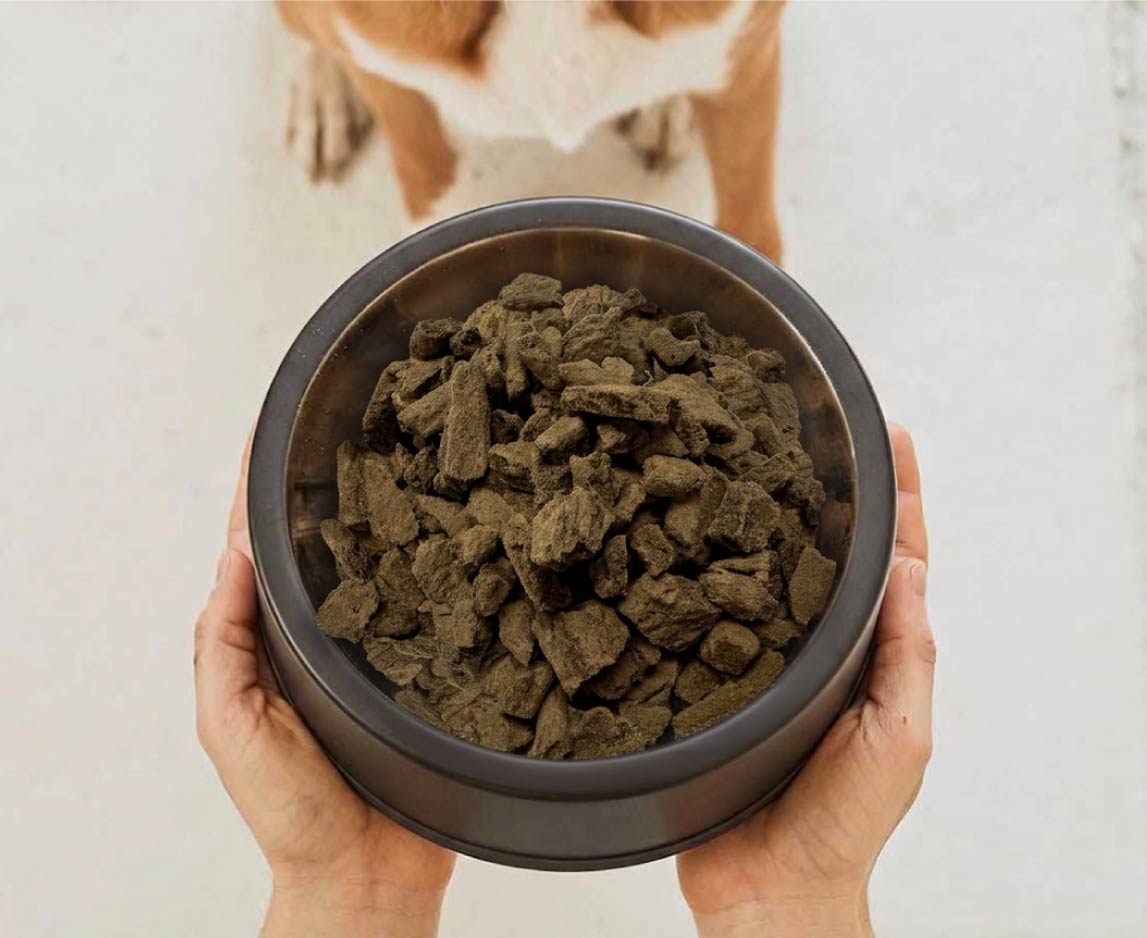 Why Air Dried Dog Food Works for Small Dogs