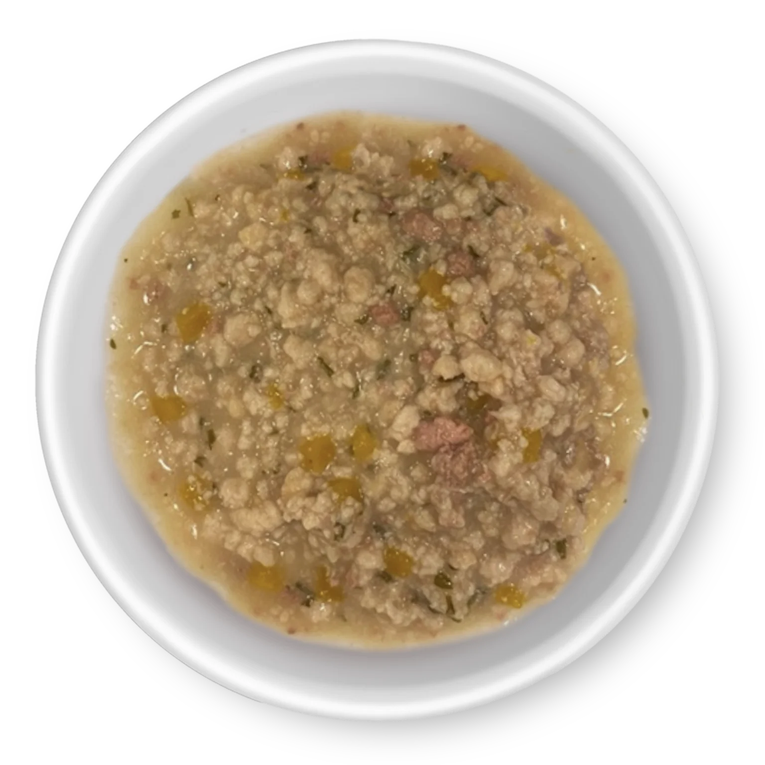 RAWZ_WebsiteCarousel_Cat_BowlImages_Gravy