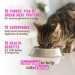 RAWZ_WebsiteCarousel_Cat_Essentials_TurkeyFish_LIFESTYLE