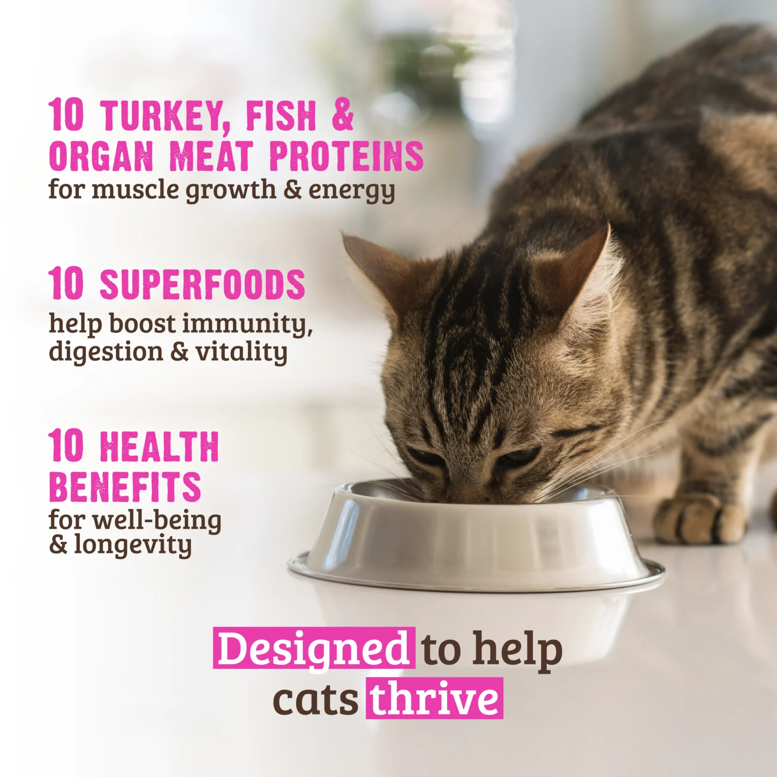 RAWZ_WebsiteCarousel_Cat_Essentials_TurkeyFish_LIFESTYLE