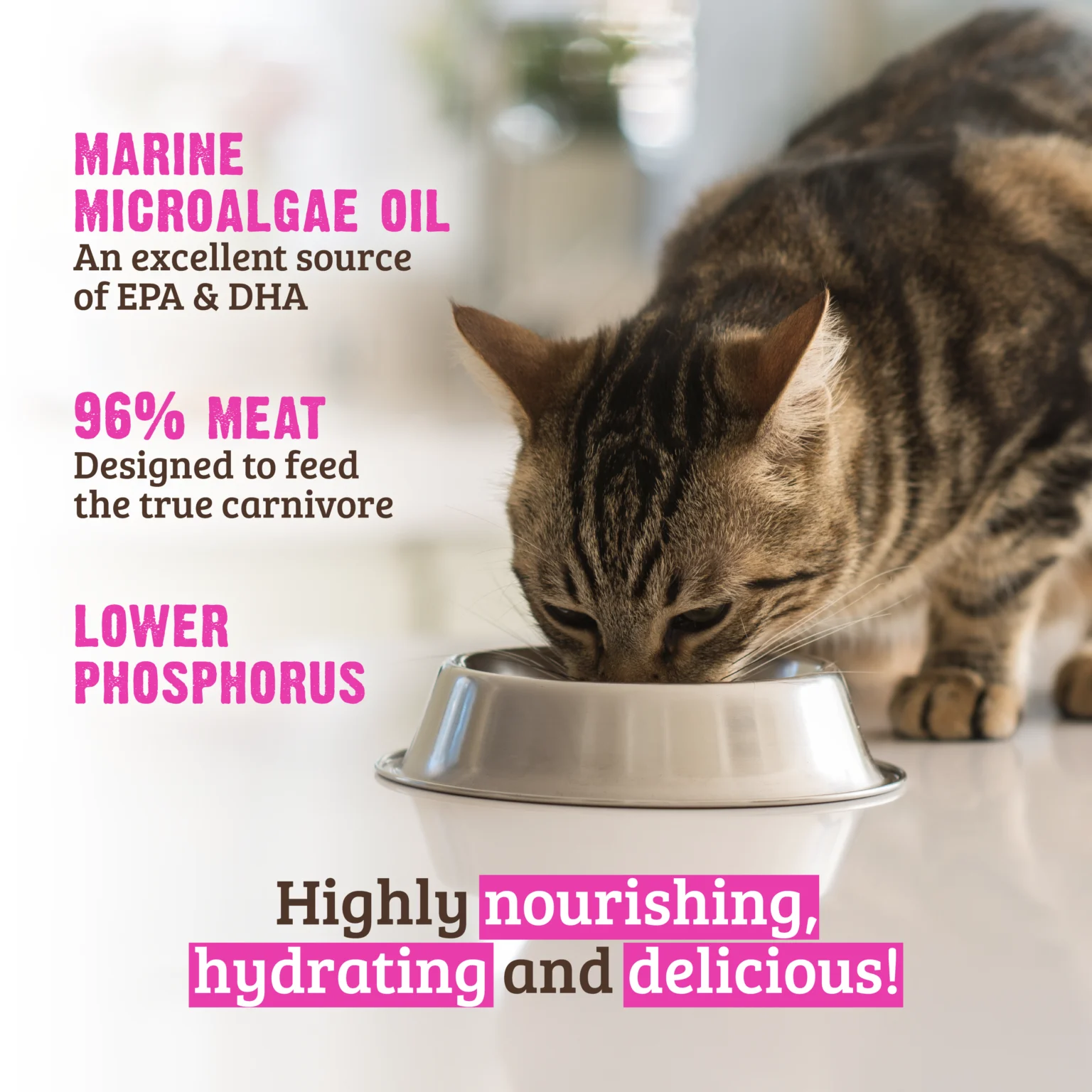RAWZ_WebsiteCarousel_Cat_ReducedPhosphorus_Tuna&Salmon_LIFESTYLE