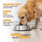 RAWZ_WebsiteCarousel_Dog_Digestive_Beef&Pumpkin_LIFESTYLE